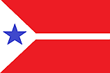 ノッティンガム共和国旗.png